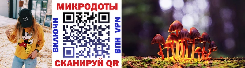 Псилоцибиновые грибы Psilocybe  сколько стоит  Спас-Клепики 